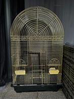 Vogelkooi met standaard – €20, Dieren en Toebehoren, Ophalen