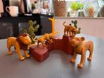 Playmobil Afrikaanse dieren + filmcrew, Kinderen en Baby's, Speelgoed | Playmobil, Ophalen of Verzenden, Gebruikt, Los playmobil