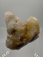 Cactus kwarts boekenhouthoek, Verzamelen, Mineralen en Fossielen, Ophalen of Verzenden