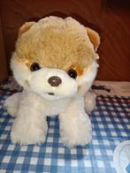 Boo de hond knuffel dwergkees hond 21 cm, Ophalen of Verzenden, Hond