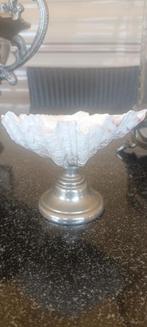 Tridacna Schelp op Antieke Voet - Rariteitenkabinet, Ophalen of Verzenden