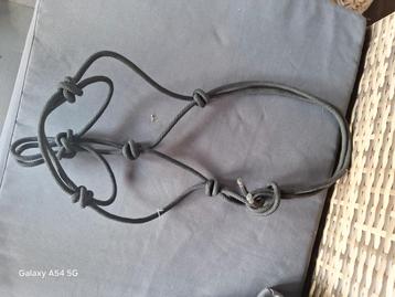 Touwhalster pony beschikbaar voor biedingen