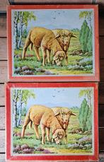 Blokdozen, Antiek en Kunst, Ophalen of Verzenden