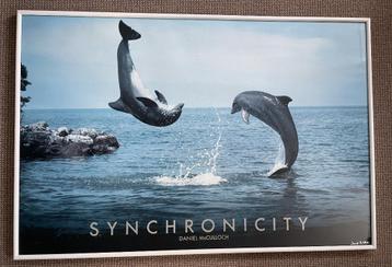 Synchronicity van Daniel McCulloch beschikbaar voor biedingen