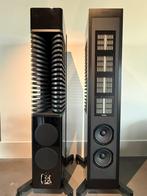 Piega masterline source 2, Piega, Zo goed als nieuw, 120 watt of meer, Front, Rear of Stereo speakers