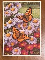 Illustrator J. Voerman. Kleine Vos op Herfstasters, Verzamelen, Ansichtkaarten | Themakaarten, Ophalen of Verzenden, 1940 tot 1960