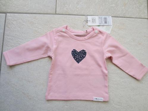 Noppies baby, roze  shirt, maat 50, NIEUW, Kinderen en Baby's, Babykleding | Maat 50, Nieuw, Meisje, Shirtje of Longsleeve, Ophalen of Verzenden