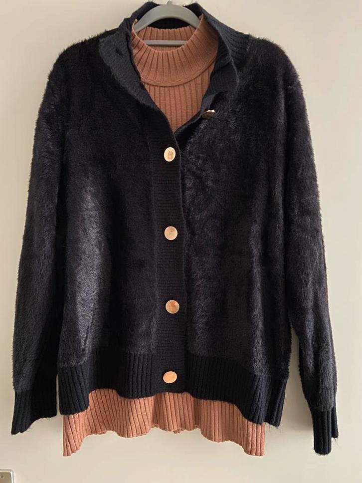 Vest met een Trui, Kleding | Dames, Truien en Vesten, Nieuw, Maat 46/48 (XL) of groter, Zwart, Ophalen of Verzenden