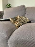 GRATIS - IKEA Norsborg Hoekbank met Chaise Longue / krabpaal, Huis en Inrichting, Banken | Sofa's en Chaises Longues, Ophalen