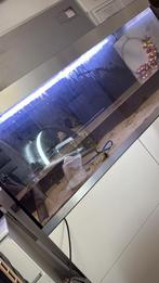 Oase highline 400 exclusief onderkast, Dieren en Toebehoren, Ophalen, Zo goed als nieuw, Leeg aquarium