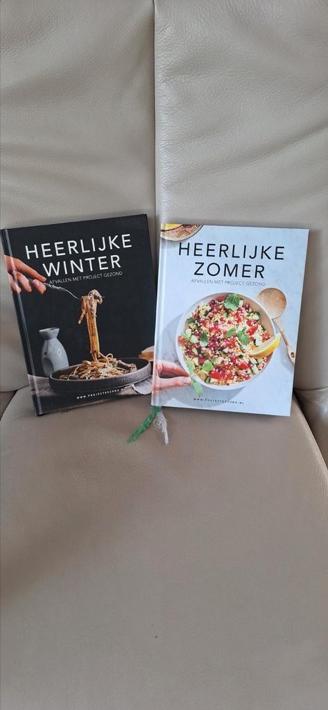 Project gezond zomer en winterboek, Boeken, Gezondheid, Dieet en Voeding, Zo goed als nieuw, Dieet en Voeding, Ophalen of Verzenden