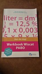 Erasmus Education - Werkboek wiscat PABO, Erasmus Education, Ophalen of Verzenden, Zo goed als nieuw, Nederlands