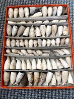 oude kleipijpen (bodemvondsten) €15, Antiek en Kunst, Antiek | Keramiek en Aardewerk, Ophalen of Verzenden