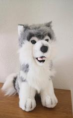 Mooie Grote Husky., Kinderen en Baby's, Speelgoed | Knuffels en Pluche, Ophalen of Verzenden, Nieuw, Overige typen