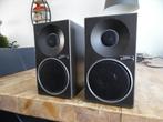 Technics Linear Phase monitor speakers type SB-F1, Audio, Tv en Foto, Overige merken, Gebruikt, Ophalen of Verzenden, Minder dan 60 watt
