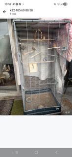 Voilere met vogels, Dieren en Toebehoren, Ophalen, Zo goed als nieuw, Hout, Vogelkooi