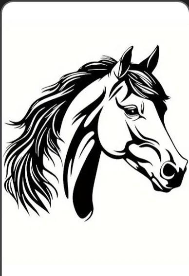 Verzorgster gezocht, Dieren en Toebehoren, Paarden en Pony's | Verzorgingsproducten, Ophalen