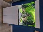 Aquarium lido 120, Ophalen, Gebruikt, Gevuld zoetwateraquarium