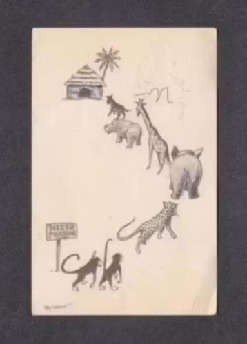 Haarlem Kennemer Dierentehuis Dierenpension Lisse 1966. beschikbaar voor biedingen