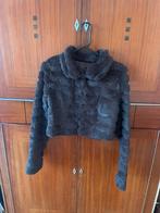 Real fur cropped jasje, Kleding | Dames, Jassen | Winter, Ophalen of Verzenden, Zo goed als nieuw, Maat 36 (S), Bruin