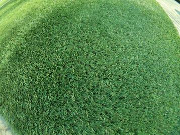 Kunstgras tweedehands beschikbaar voor biedingen