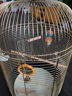 Te koop aangeboden vogel kooi, Dieren en Toebehoren, Ophalen of Verzenden, Zo goed als nieuw, Metaal, Vogelkooi