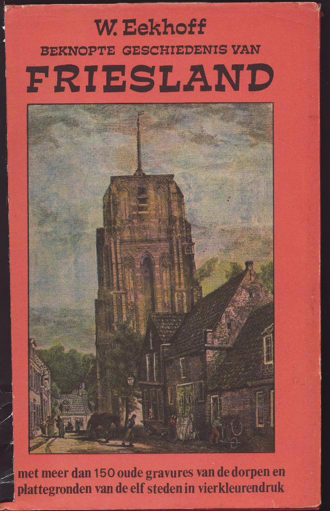 Beknopte geschiedenis van Friesland, Boeken, Geschiedenis | Stad en Regio, Gelezen, 19e eeuw, Ophalen of Verzenden