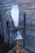 Vest bruin/ grijs Sarah Pacini mt M Vaste prijs, Maat 38/40 (M), Bruin, Sarah Pacini, Ophalen of Verzenden