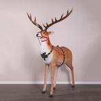 Reindeer for Santa’s Sleigh – Rendier Hoogte 218 cm, Ophalen, HorecaBeelden, Nieuw, HorecaBeelden