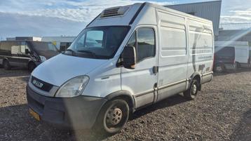 Iveco Daily 35S17V 330 H3 koeling beschikbaar voor biedingen