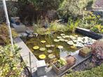 T.k.vijver , helemaal compleet, Tuin en Terras, Vijvers, Ophalen, Gebruikt