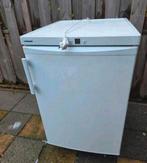 Liebherr Vrieskist, Witgoed en Apparatuur, Vriezers en Diepvrieskisten, Ophalen, Gebruikt, Vrijstaand, Vrieskist