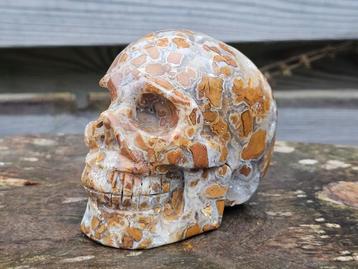 Gave Indonesische agaat schedel beschikbaar voor biedingen