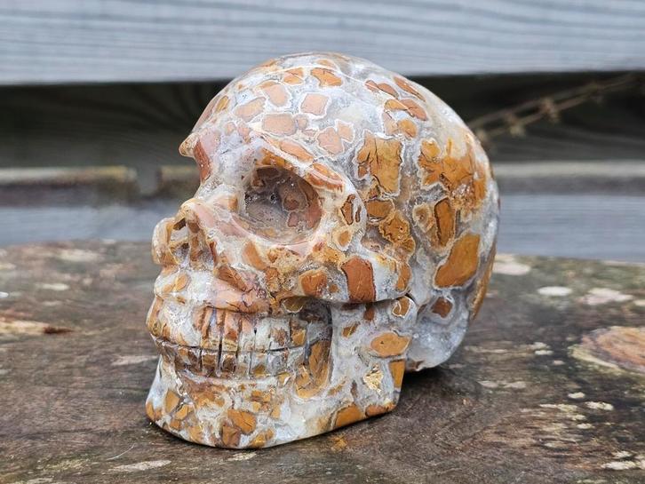 Gave Indonesische agaat schedel, Verzamelen, Mineralen en Fossielen, Ophalen of Verzenden