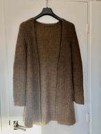 Drykorn lang vest dames, Kleding | Dames, Truien en Vesten, Drykorn, Bruin, Ophalen of Verzenden, Zo goed als nieuw