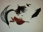 set nieuw gebonden veren feather mount (G) Fascinator Hoed, Ophalen of Verzenden, Nieuw, Meerdere media, Kunst en Creatief