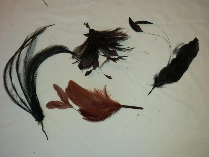 set nieuw gebonden veren feather mount (G) Fascinator Hoed, Hobby en Vrije tijd, Cursusmateriaal, Nieuw, Kunst en Creatief, Meerdere media