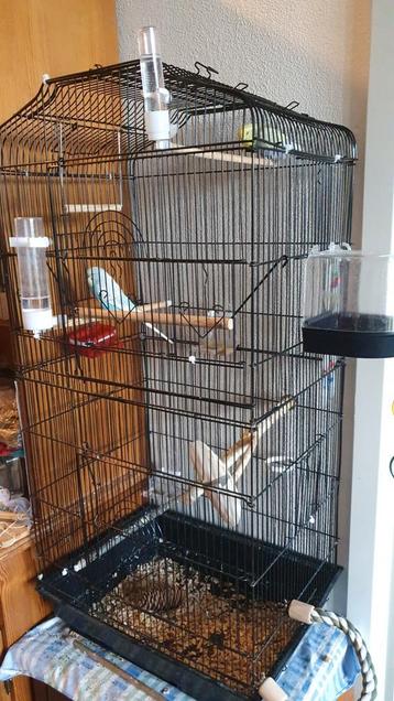 Vogelkooi voor o.a grasparkietjes en extraatjes te koop beschikbaar voor biedingen
