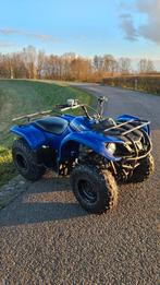 Yamaha Grizzly 125, Motoren, Quads en Trikes, 1 cilinder, 125 cc, 11 kW of minder