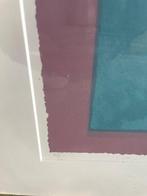 Marjan Jaspers | Tulpen, Antiek en Kunst, Kunst | Litho's en Zeefdrukken, Ophalen