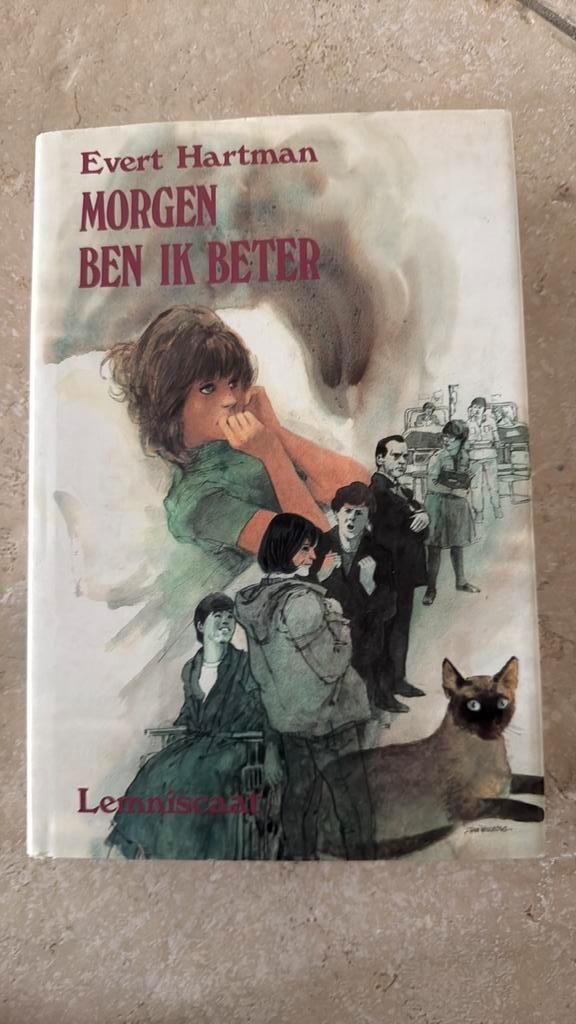 Evert Hartman - Morgen ben ik beter, Boeken, Kinderboeken | Jeugd | onder 10 jaar, Gelezen, Fictie algemeen, Ophalen of Verzenden