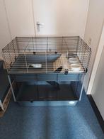 Cavia hok donker grijs ferplast, Dieren en Toebehoren, Knaagdieren en Konijnen | Hokken en Kooien, Zo goed als nieuw, Hok, Cavia