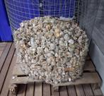 Heel veel slakkenhuizen!!!, Dieren en Toebehoren, Vissen | Aquariumvissen, Vis, Zoetwatervis