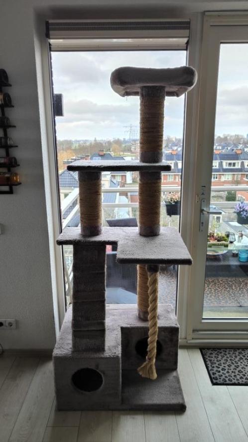 Grijze XXL Krabpaal (80 cm x 60 cm x 200 cm), Grijs Krappaal, Dieren en Toebehoren, Krabmeubelen, Gebruikt, Krabpaal, Ophalen