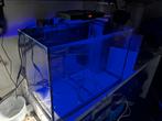 Aqua Knight V3 (60W) zeeaquarium LED lamp, Dieren en Toebehoren, Vissen | Aquaria en Toebehoren, Ophalen of Verzenden, Zo goed als nieuw