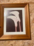 Gratis af te halen, Ophalen, Zo goed als nieuw, Hout, Minder dan 50 cm