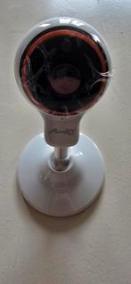 IP Cameras / bewaking - Nieuw in doos ( 12 assorti verpakt), Beweging, Nieuw, Ophalen of Verzenden, Compleet systeem