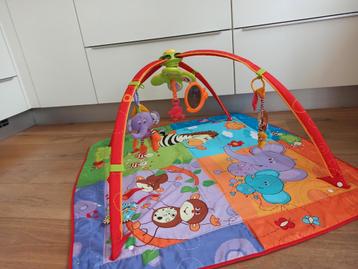Tinylove speelkleed babygym beschikbaar voor biedingen