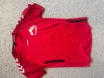 Rood Hummel Voetbalshirt Scala College Maat L, Ophalen of Verzenden, Zo goed als nieuw, Voetbal, Rood