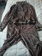 PB.huispak maat M., Kleding | Dames, Huispakken, Ophalen of Verzenden, Zo goed als nieuw, Maat 38/40 (M)